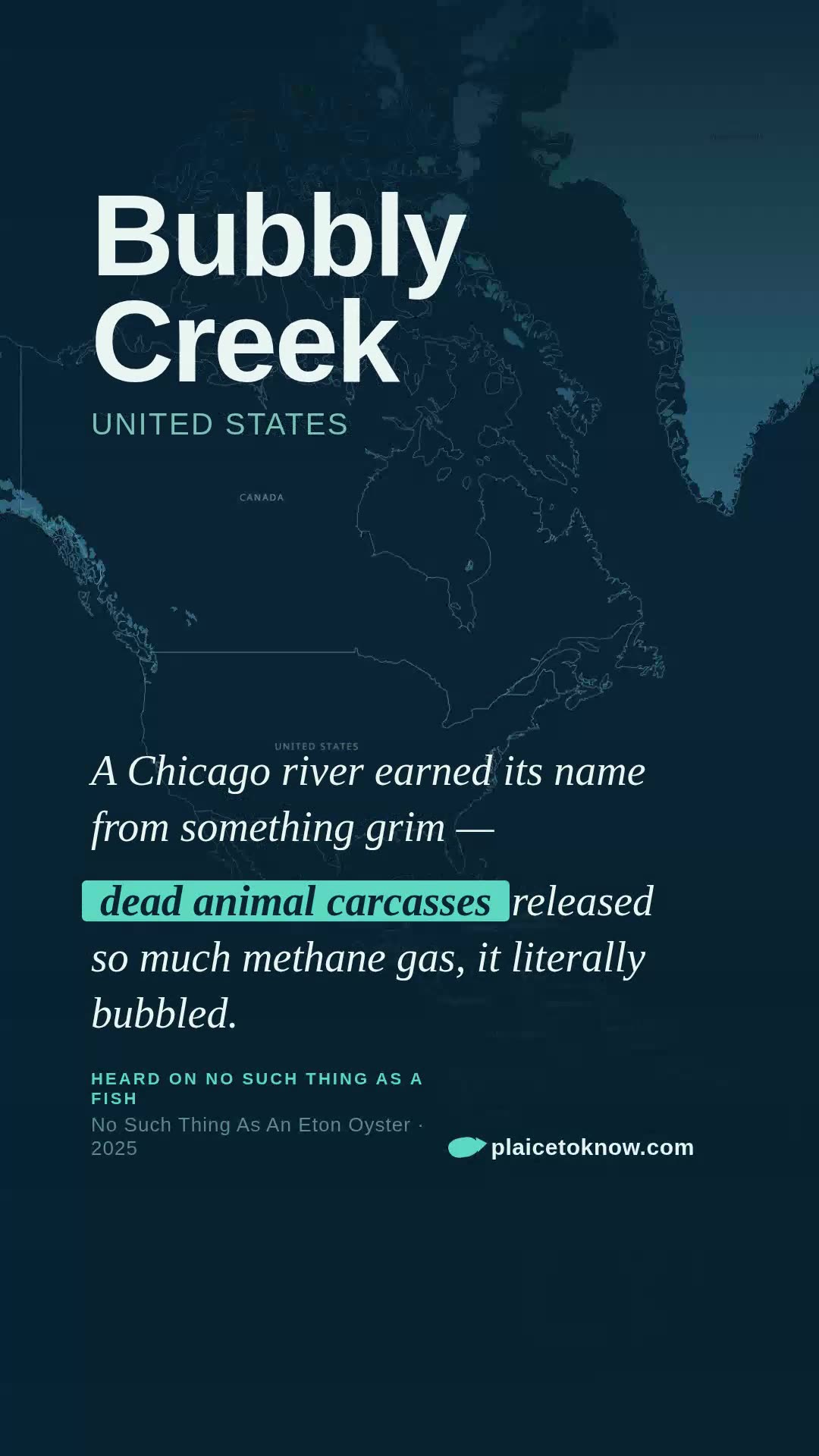 Bubbly Creek
